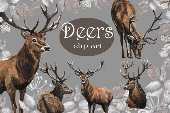 Deers Clipart and Deers Sublimations: A Versatile Design Resource for Creators