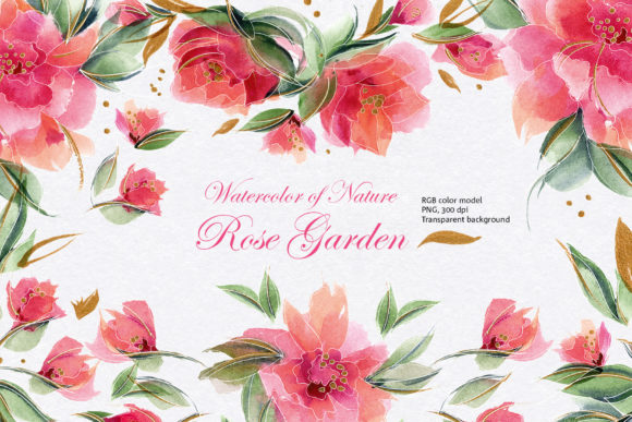 Watercolor of Nature • Rose Garden